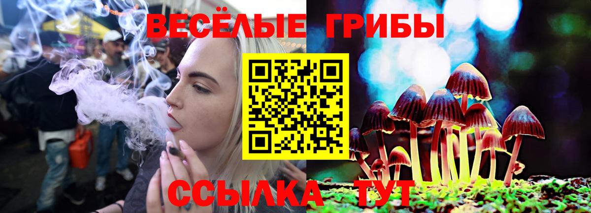 Рославль  Галлюциногенные грибы мухоморы  Галлюциногенные грибы GOLDEN TEACHER  Вход с VPN 