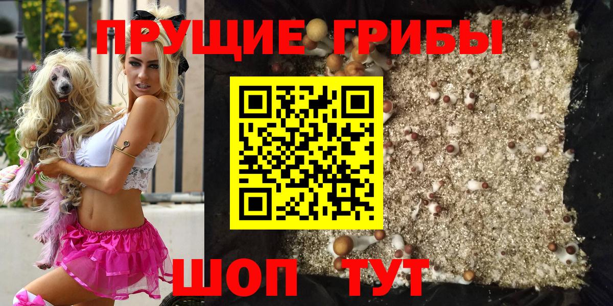 Псилоцибиновые грибы Cubensis Рославль
